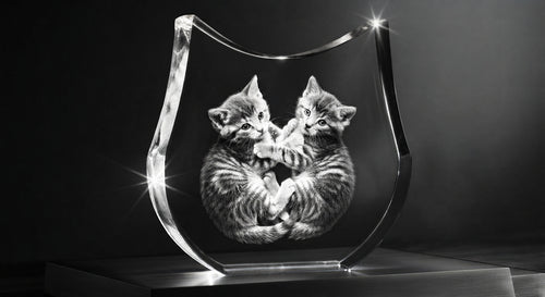 3D Cat Crystal